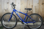 Schwinn Frontier Mountain Bike small
