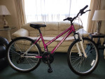 Mantis 26" Women's Mountain - Bike 21 Speed