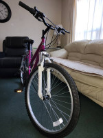 Mantis 26" Women's Mountain - Bike 21 Speed