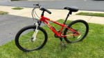 24” Diamondback Octane