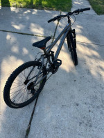Mongoose bike