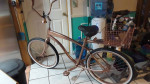 Copper Beach Cruiser Bike/ custom