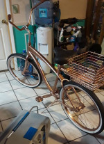 Copper Beach Cruiser Bike/ custom