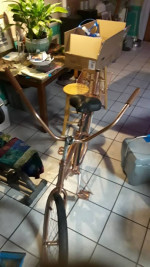 Copper Beach Cruiser Bike/ custom