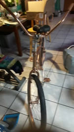 Copper Beach Cruiser Bike/ custom