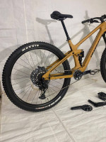 Transition Sentinel Carbon Large