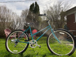 Vintage Schwinn cruiser Supreme