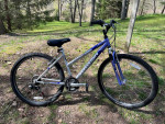 Schwinn Sidewinder 2.6 Fs