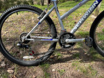 Schwinn Sidewinder 2.6 Fs