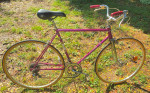 Schwinn Continental Violet 10 speed