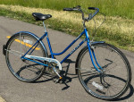 Schwinn Collegiate 3 speed