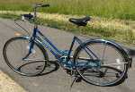 Schwinn Collegiate 3 speed
