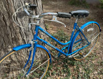 Schwinn World Tourist 5-speed Women's