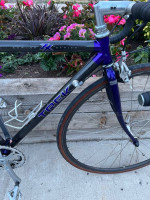 (51) USA Size Small CARBON Trek ZX Road Bike 5ft to 5’8