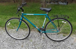 Schwinn Cross-fit Hybrid