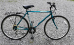 Schwinn Cross-fit Hybrid