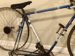 BOTTECCHIA -- Rare 50 Yr Old Needs TLC