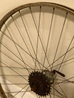 BOTTECCHIA -- Rare 50 Yr Old Needs TLC