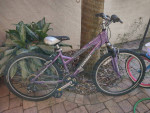 3 bicycles like new $50 each