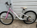 Trek MT 200 kid bike