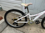 Trek MT 200 kid bike