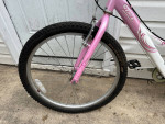 Trek MT 200 kid bike