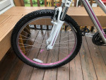 Giant and GT mountain bikes