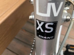 Giant and GT mountain bikes
