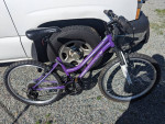 24" Girls Roadmaster Granite Peak Mountain Bike For Sale