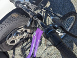 24" Girls Roadmaster Granite Peak Mountain Bike For Sale