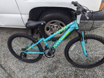 24" Girls Nishiki Pueblo 24 Mountain Bike For Sale