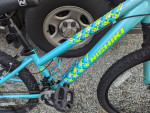 24" Girls Nishiki Pueblo 24 Mountain Bike For Sale