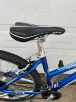 2010 Trek Skye S Mountain Bicycle