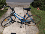 Randor par excellence 10 speed bike
