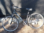 Trek 7.3 hybrid & Diamondback Edgewood