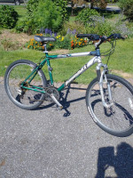 Diamondback Sorrento