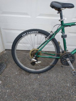 Diamondback Sorrento