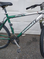 Diamondback Sorrento