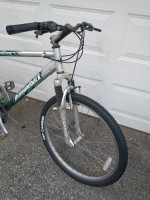 Diamondback Sorrento