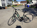 Trek Verve 3 bike for women