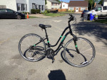 Trek Verve 3 bike for women