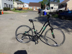 Trek Verve 3 bike for women