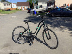Trek Verve 3 bike for women