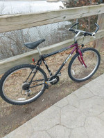 2 Mountain Bikes