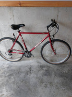 2 Mountain Bikes