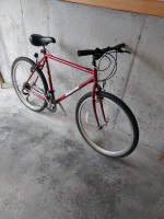2 Mountain Bikes