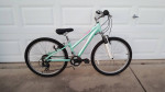 Schwinn Lotus Kids Mountain bike