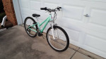Schwinn Lotus Kids Mountain bike
