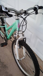 Schwinn Lotus Kids Mountain bike