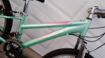 Schwinn Lotus Kids Mountain bike